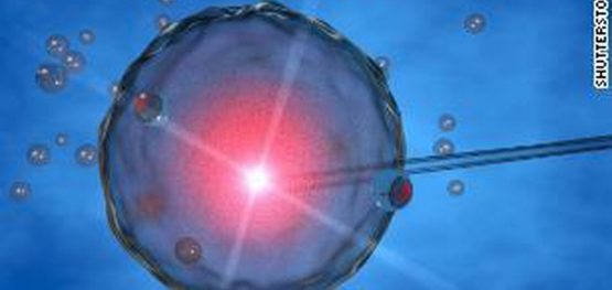 f7257bcdc5d613a412c44c3543488446