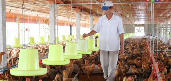 72814376fa91bcc92df4284bd62cae76