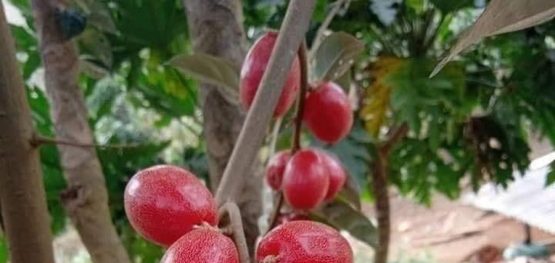 db0856946933dd89568abae2974bff56