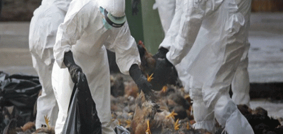 fecc7ce4efdc26e1a8c055fb17162c48