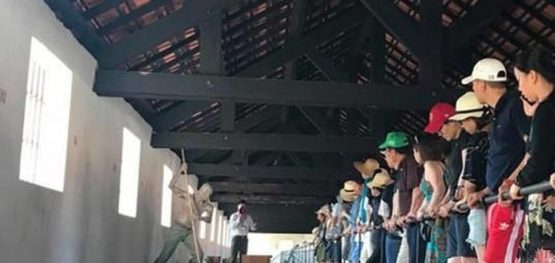 272332fad2a948b739ac4dc9b1218a6d