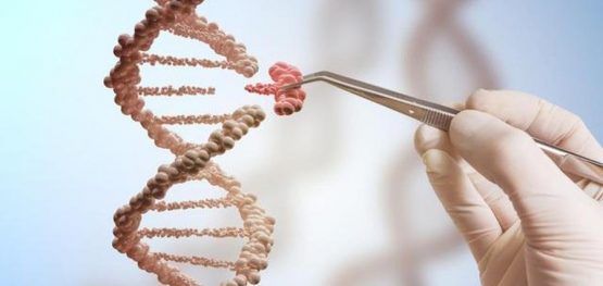 83ef8d293891c09a01127e957cd1639b