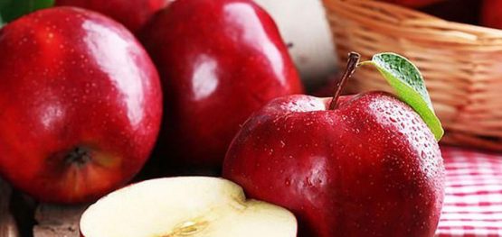 91b29db93c52d8c57a87bd8e018fa7e4