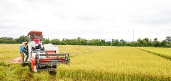 b0d651208a8a0e5ffdb7e94ac80d83e2