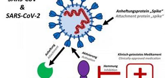 3bb6523ad6b885cb5fad38cb0d9a70f9