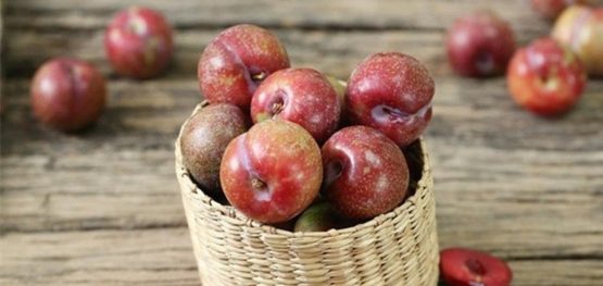 f0a2fa993462aebcd0ec6a80ee0cbc5f