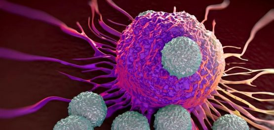 f9c66fba32af755c5394e4a905d745b4