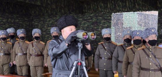 c331d5cd0ab2b236cf4286f53e751fa4