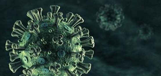 f0dc158eab21bb19c92755f65378a3db