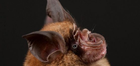 2a4ce310e28a87aa7784c4c1b2df8406