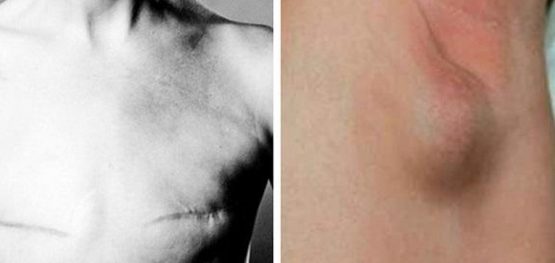 c2eb78713393174b20b7956c4a35ed0c