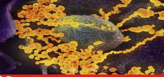 eb05db80e529aff8795ce914d3874cdf