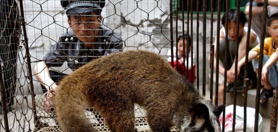 2a357d89437443dd28dfc2f0561e61e0