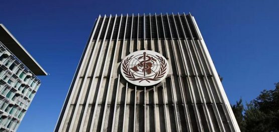 d674e382c6e8e51c8df38f00b73f84ed