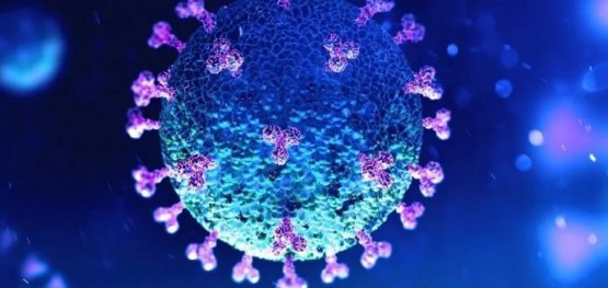 2c58b0ec5ad2b48aaa76759a9aa88ce1