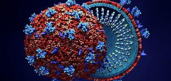 b20f2fc56aee1c5845a2545db7d2e405