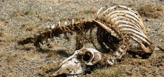 f006b6eca577f55212adc198eb7a4c56