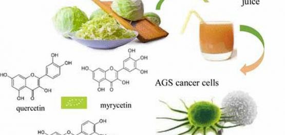 900b5cb766ea014be8a8bf37582c0699