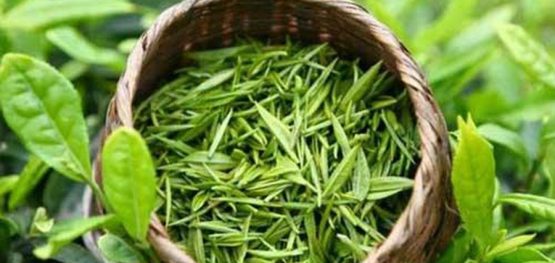 bb040debb7b89429bb2f1d838b98175a