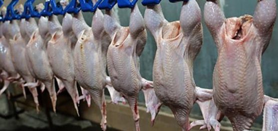 33cdb0f042dbee0ccbbb33d126f5574b