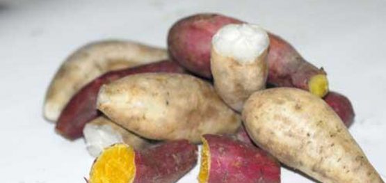 7a59870607a535e364d0a35bc0a1ac6e