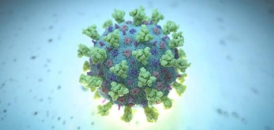 4f501aae8ff661c1c230392d07327c74