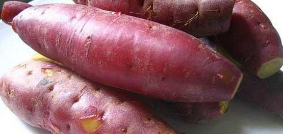 69ef31e33a4bf0618841be51872eb775