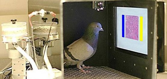 e4d965e92bd3aea4d62fb5fdb8f4de4e