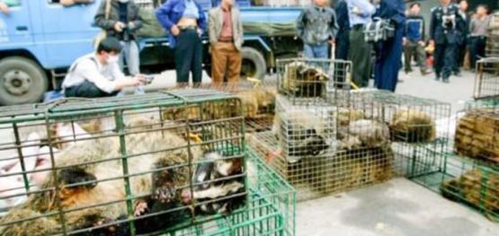 21727a2b9b02047f780ad46360ae7664