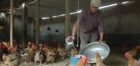 4919a59a6749e4f907df96ba9468e631