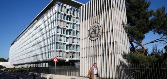 96a2d632db9806c17a85eb69c7398e65