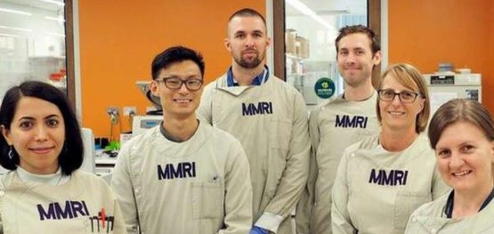 862a5e0bb72cff461ff2753f4a1b0337