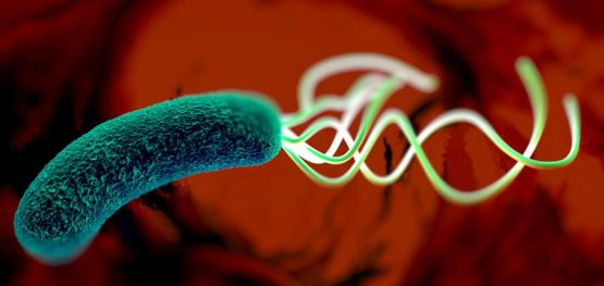 7e3e035c8c043dafcb992771ea51fd14