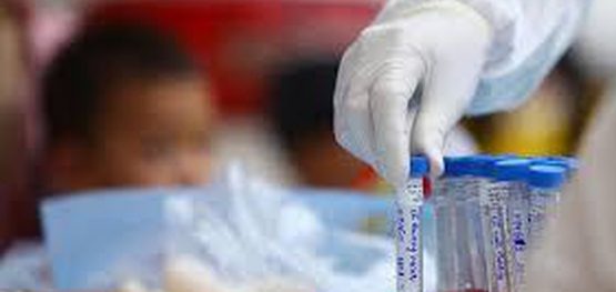 388c876111fa0872908bdb15002567e9