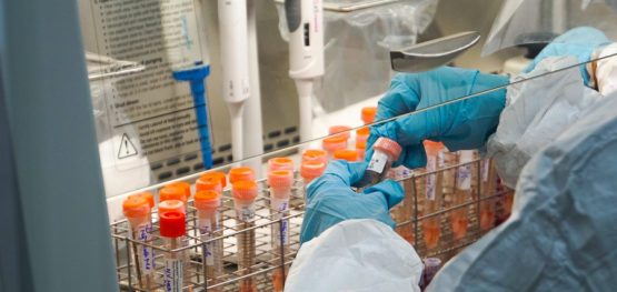 7a4a8eb1e727664667c666e644f09290