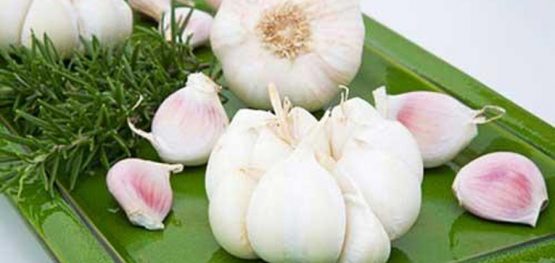 91f4884c27a06fef5a7c5855b5d0db21