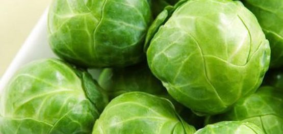 959198f1cf4e7d02da8ba9a384c7b8d6