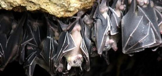 7873137205a302cc634142568dab9219