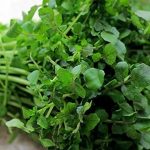 Lợi ích của rau cải xoong