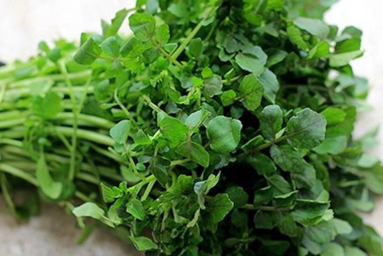 Lợi ích của rau cải xoong