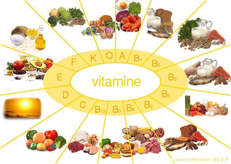 chức năng của vitamin